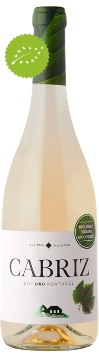 Garrafa CABRIZ BIOLÓGICO BRANCO 2019